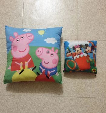 Lot 2 coussins 