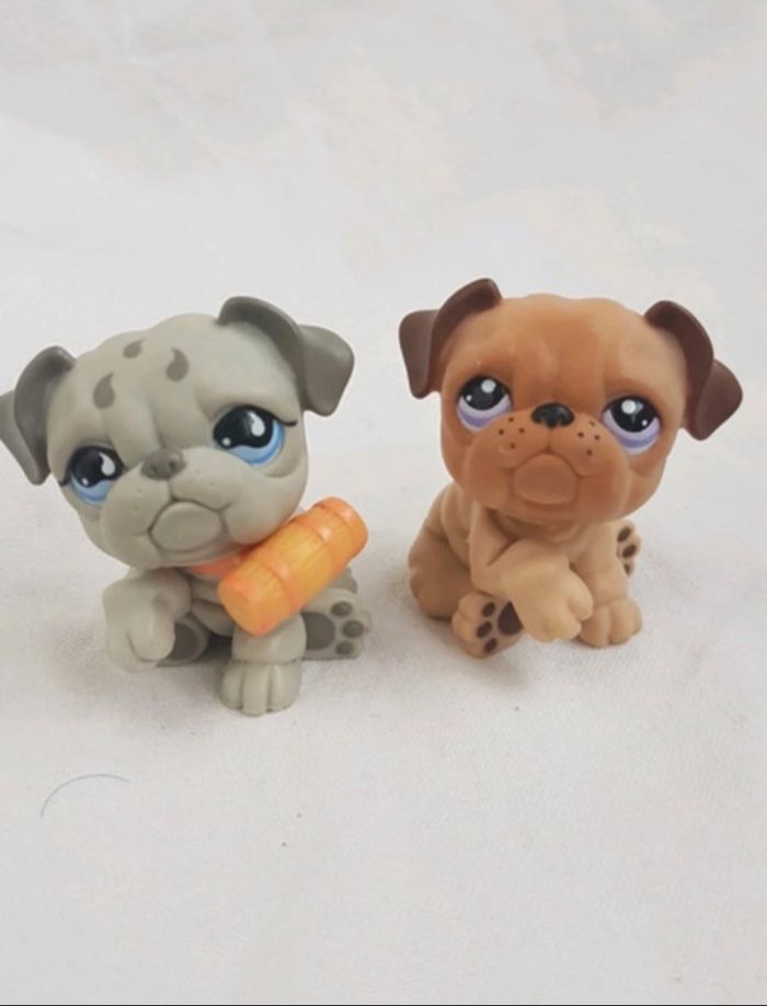 Lot 2 petshop bouldogue