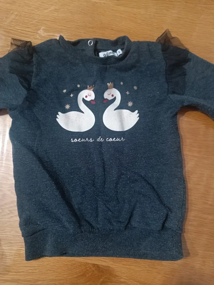 Lot sweat - photo numéro 6