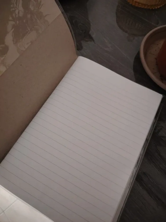 Le lot de 2 cahier - photo numéro 3