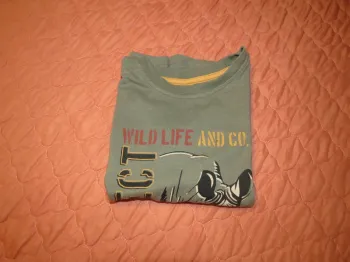 T-shirt taille 3 ans garçon