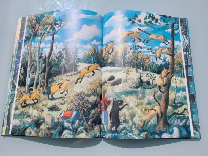 Livre couverture rigide, grand format, l'école des loisirs, La Grande Forêt, le pays des Chintiens - photo numéro 7