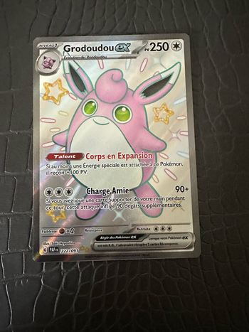Carte pokemon
