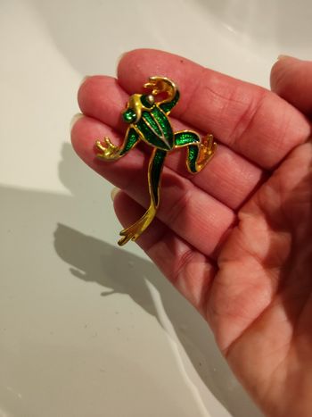 Jolie épingle 🐸 grenouille 