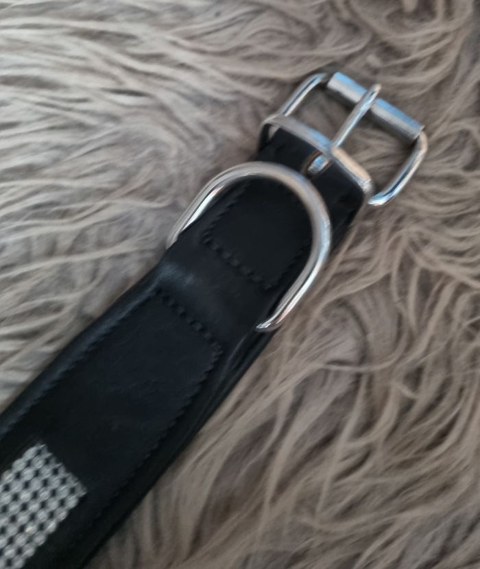 Collier chien noir avec strass taille L-XL - photo numéro 4