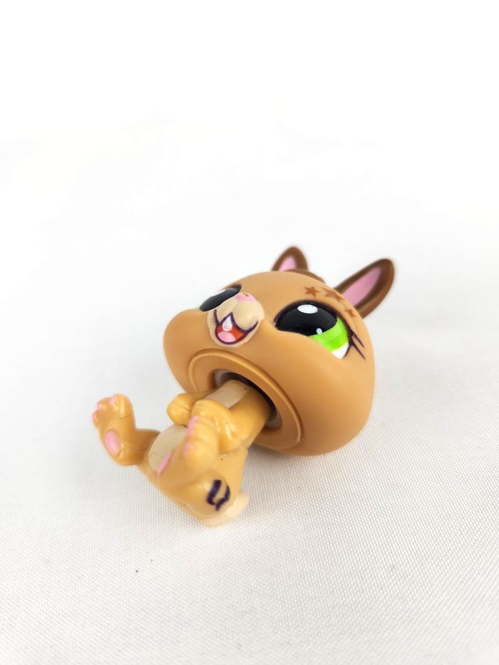 Littlest Petshop LPS Lapin Nain #1497 - photo numéro 5