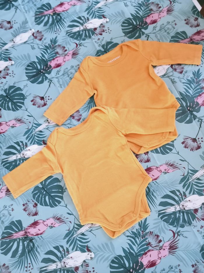 Lots 2bobys 1 mois inextenso