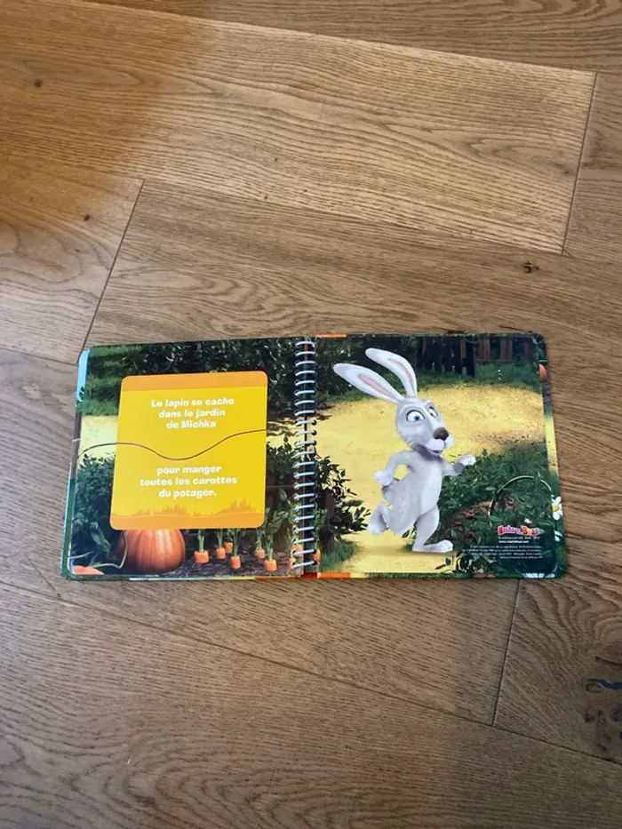 Livre - photo numéro 6