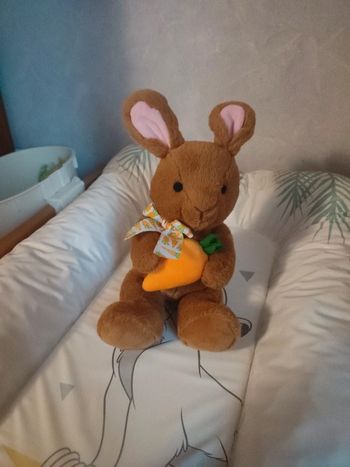 Peluche lapin marron avec carotte