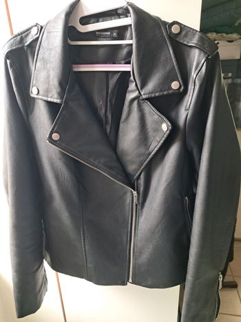 Blouson femme  In Extenso