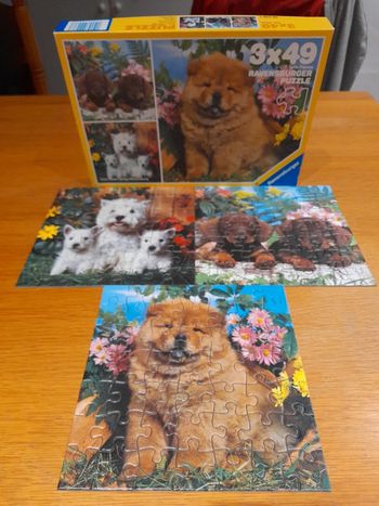 Puzzle chien