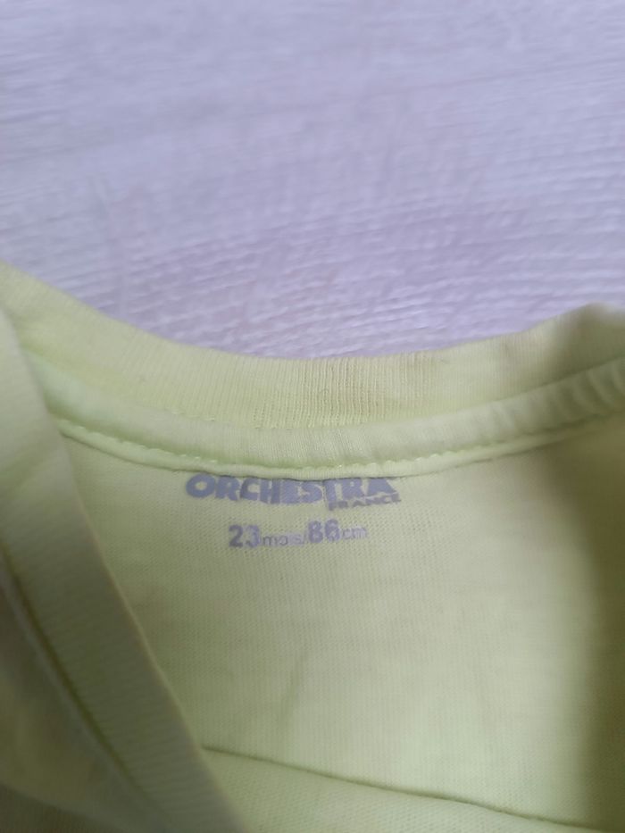 Tee-shirt manches courtes - photo numéro 2