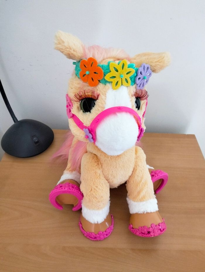 Cannelle mon poney coquette