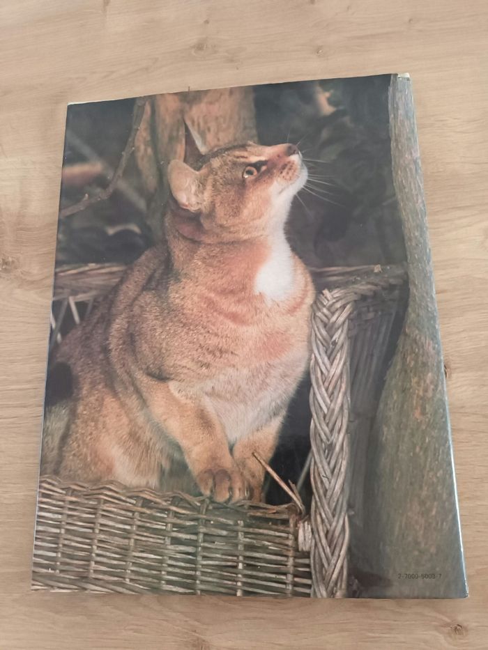 La passion des chats - photo numéro 9