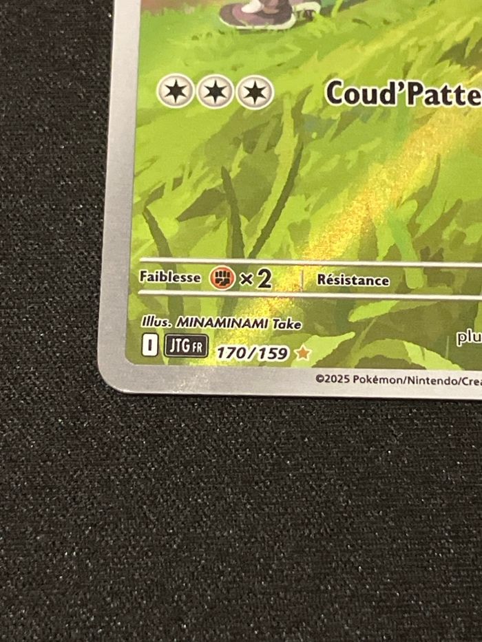 Moumouton de Nabil 170/159 - photo numéro 2