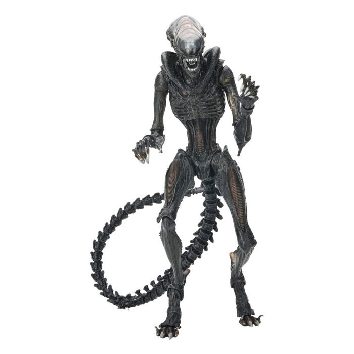 ALIEN ROMULUS - Scorched Xenomorph - Ultimate Figurine 18cm - photo numéro 5