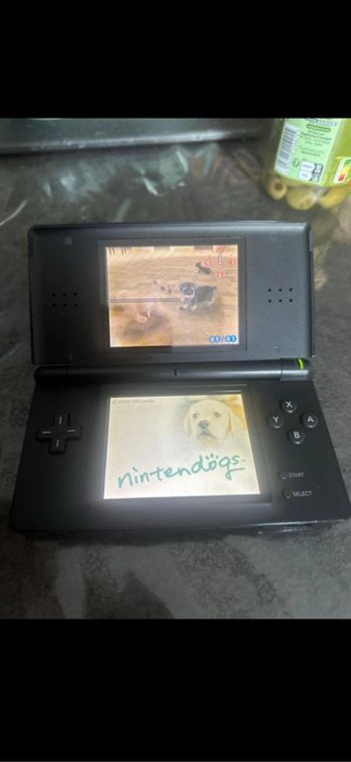 Nintendo ds lite - photo numéro 4