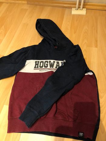 Pull à capuche Harry Potter