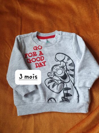 Sweat tigrou 3 mois