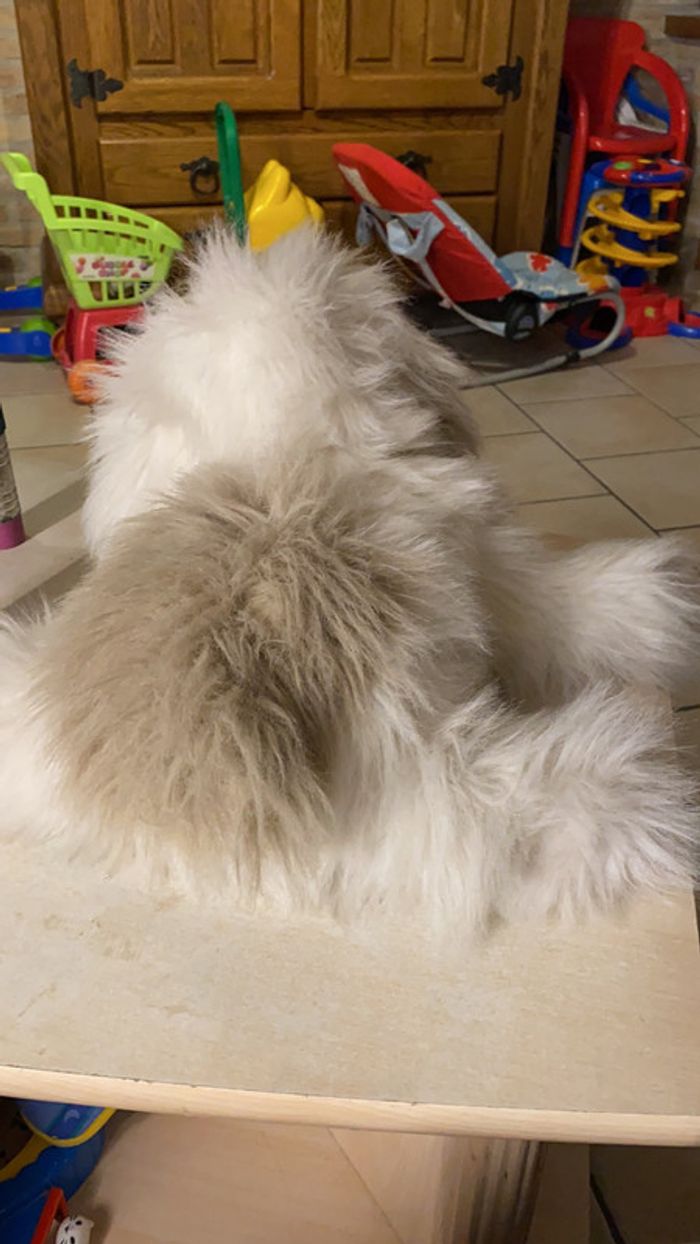 Peluche chien - photo numéro 4