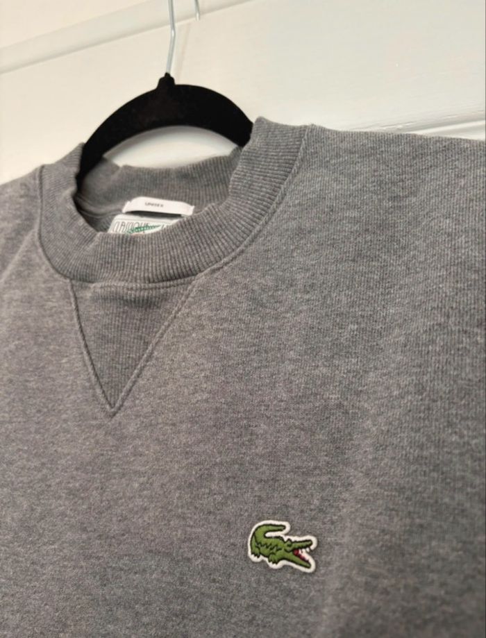 Sweat Lacoste gris