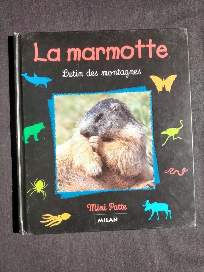 Lot de 14 livres enfants - photo numéro 10