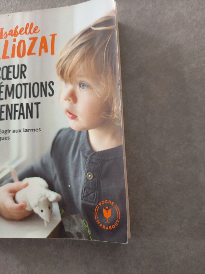 Livre au coeur des émotions de l'enfant - photo numéro 2