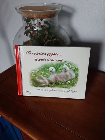 Trois petits cygnes  ... et puis s'en vont ...