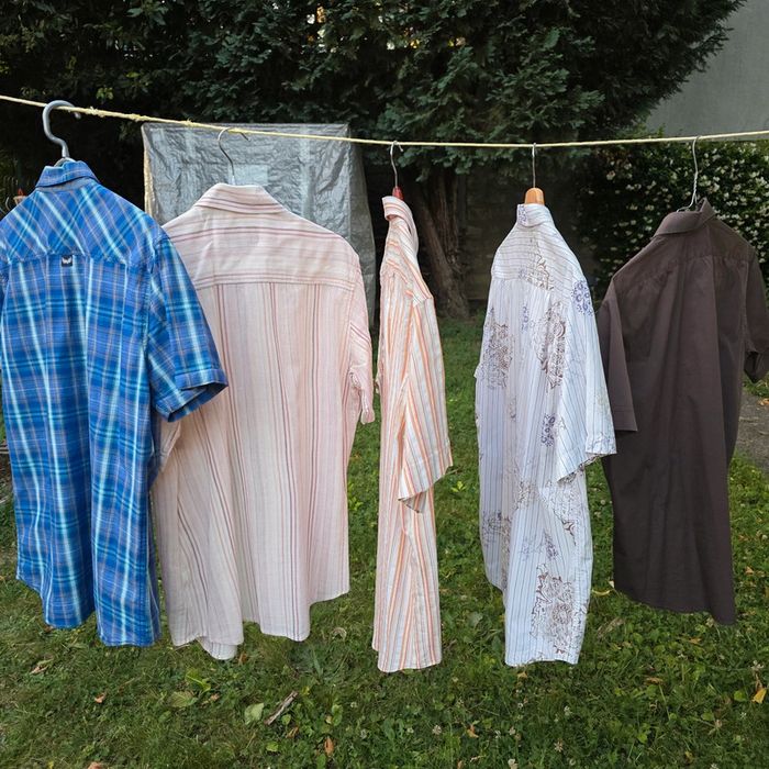Lot 5 chemises m.courtes homme - photo numéro 2