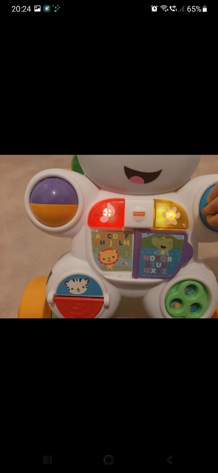 Trotteur zèbre - photo numéro 3