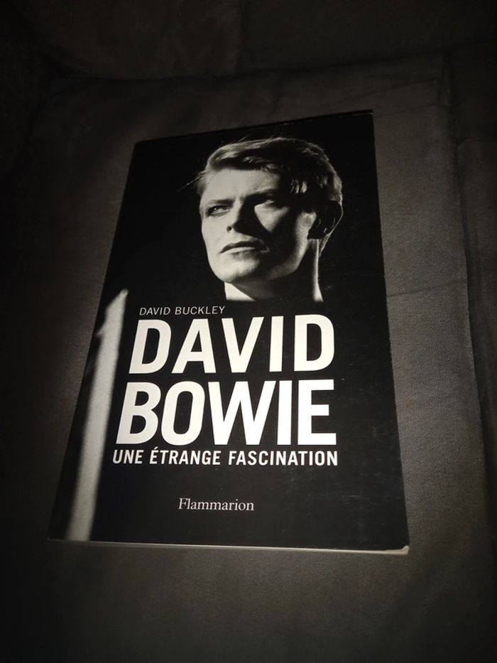 Livre David bowie une étrange fascination