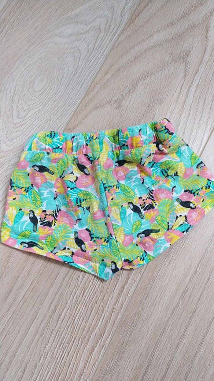 Short vers été 6 mois toucan fleurs - photo numéro 3