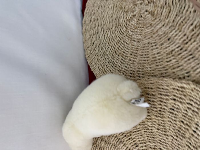 Peluche ours polaire Smithsonian Oceanic Collection Arctique blanc peluche - photo numéro 3