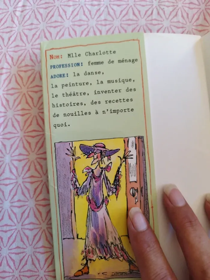 🔴Une fabuleuse femme de ménage - photo numéro 4