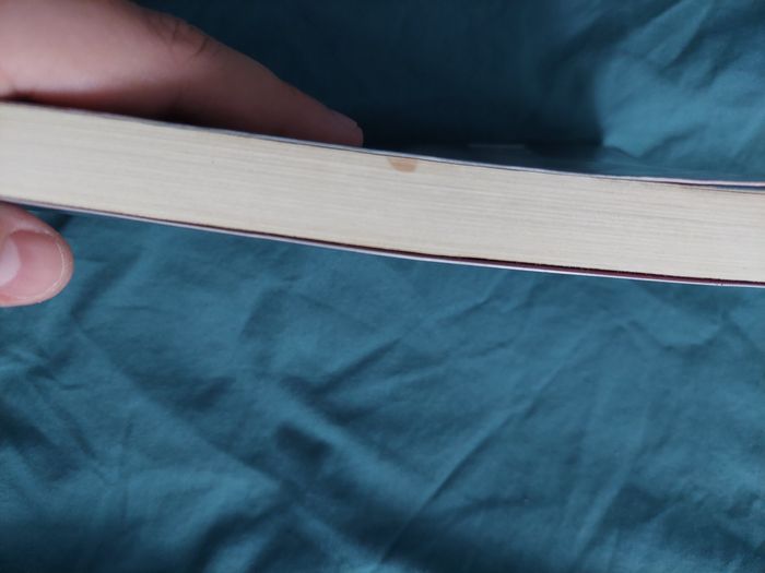 Livre : La nuit du renard de Mary Higgins Clark - photo numéro 3
