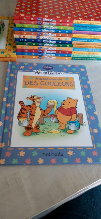 Livre Winnie l'ourson