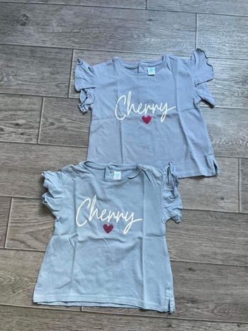 Lot 2 T-shirt identique jumelles tex 18 mois