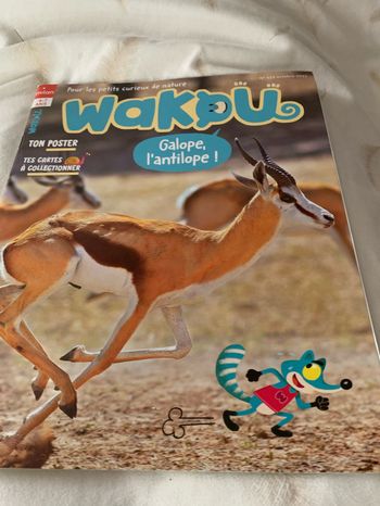 Wakou galope l’antilope