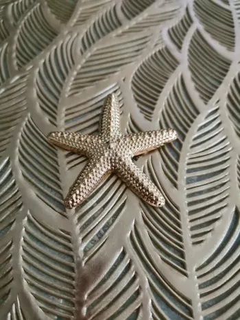 Broche étoile de mer doree