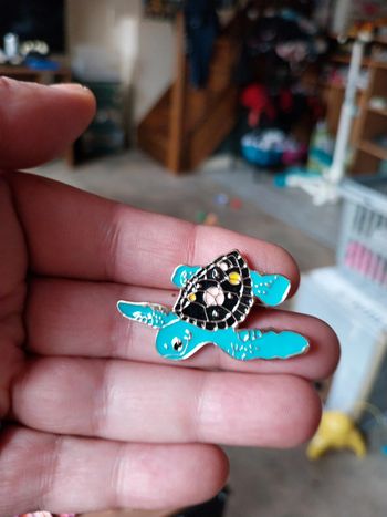 Pins tortue