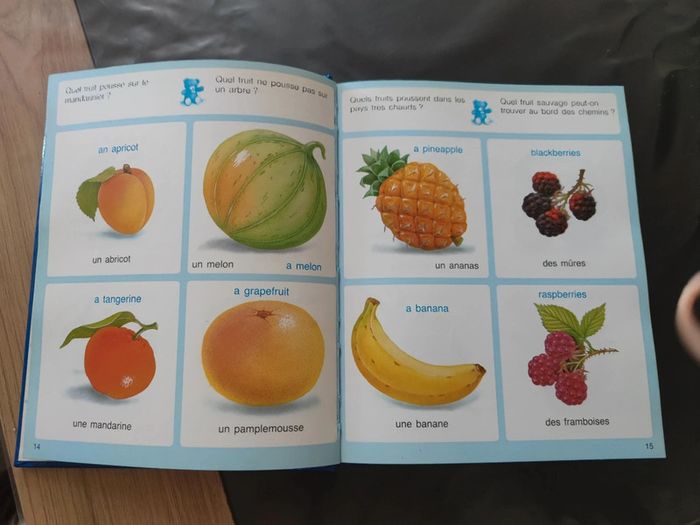L'imagerie français anglais - photo numéro 4