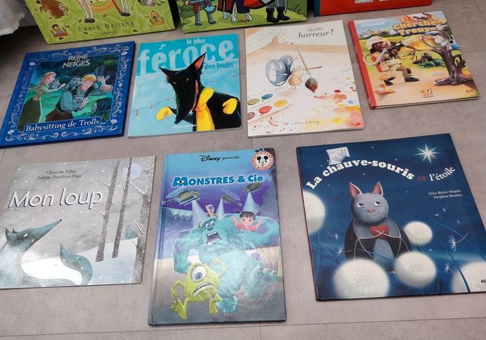 Livres jeunesse pour enfant (lot 3) - photo numéro 3