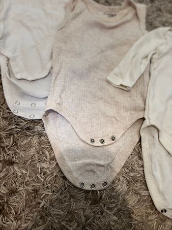 Lot 3 bodies