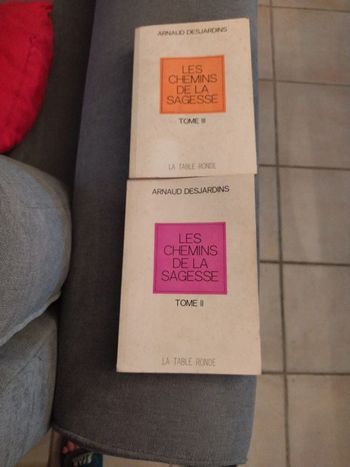 Les chemins de la sagesse Tomes 2 et 3