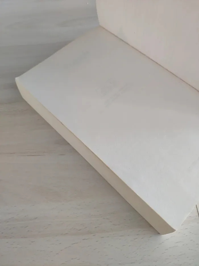 Livre grand format J'ai dû rêver trop fort Bussi - photo numéro 7