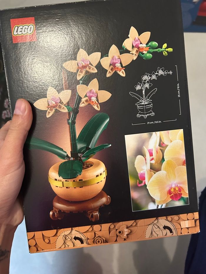 LEGO Botanicals 10343 - photo numéro 2