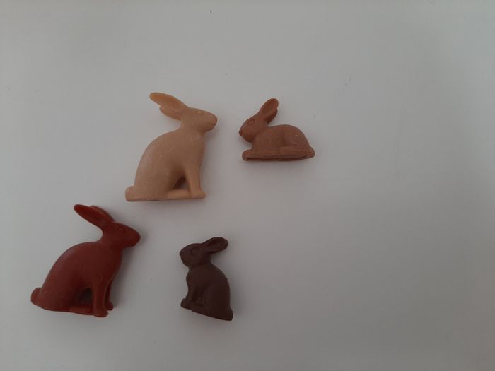 Playmobil lot clapier à lapins et enfants - photo numéro 3