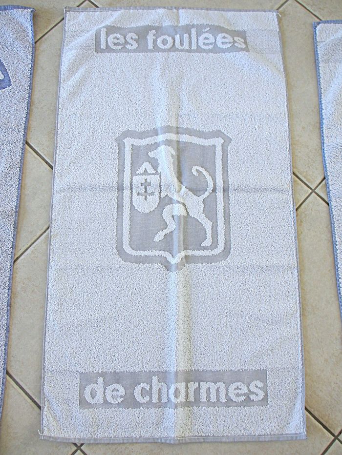 Lot de 4 serviettes neuves 100 % coton - photo numéro 5
