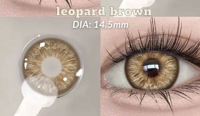 Lentilles de couleurs - photo numéro 5