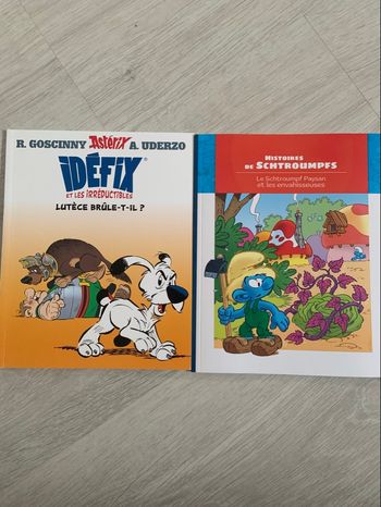 Livres Idefix et Histoires de Schtroumpfs